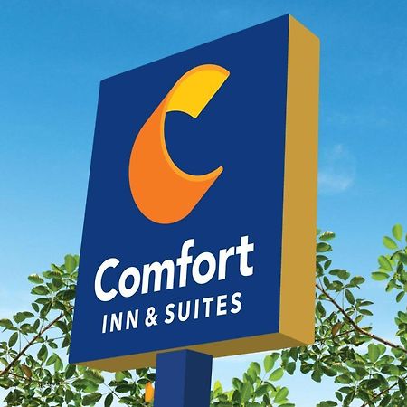 Comfort Inn & Suites テキサスシティ エクステリア 写真
