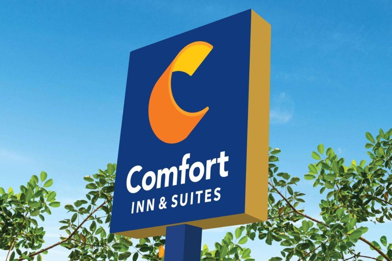 Comfort Inn & Suites テキサスシティ エクステリア 写真